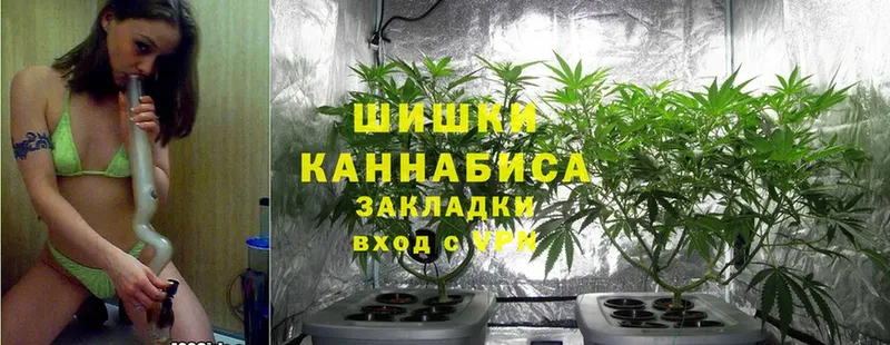 Каннабис SATIVA & INDICA  где купить наркоту  Первоуральск 